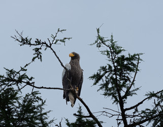 Similar image 22210858