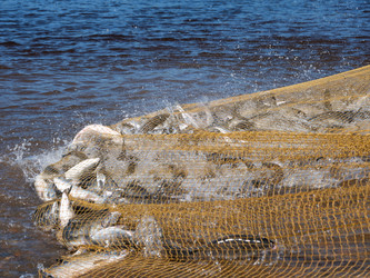 Similar image 22210860