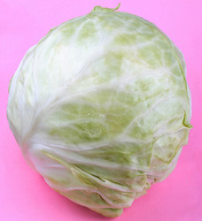 Similar image 22219564