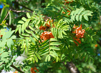 Similar image 22219567