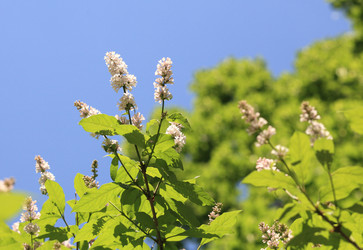 Similar image 22219568