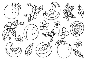 Similar image 22225988