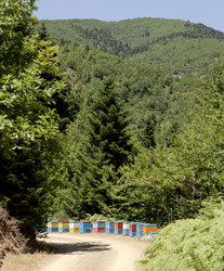 Similar image 22223861