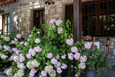 Similar image 22211064