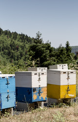 Similar image 22211065