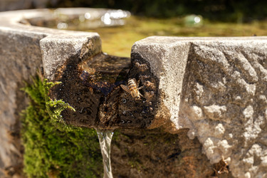 Similar image 22223862