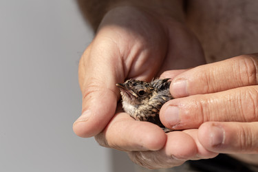 Similar image 22222487