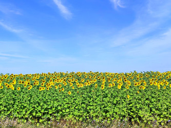 Similar image 22222528