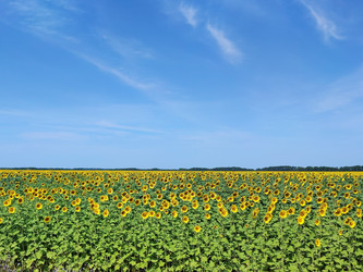 Similar image 22222529