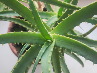 Similar image 22222532