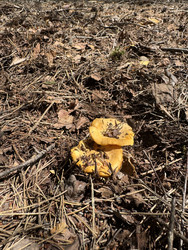 Similar image 22211165