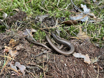 Similar image 22211167