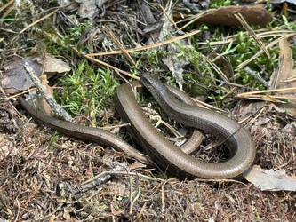 Similar image 22211168