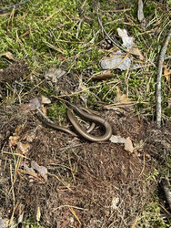 Similar image 22211169