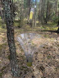 Similar image 22211175