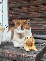 Similar image 22211179