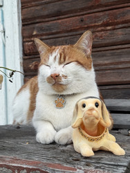 Similar image 22211180