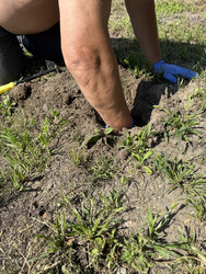 Similar image 22211252