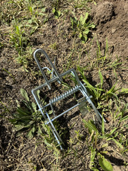 Similar image 22256647