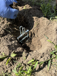 Similar image 22256648