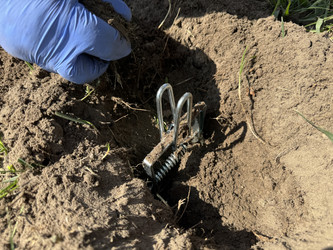 Similar image 22256651