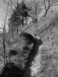 Similar image 22210939