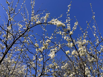 Similar image 22210940