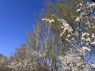 Similar image 22210942