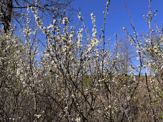 Similar image 22210945