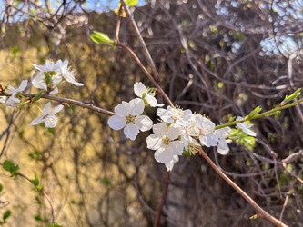 Similar image 22210946