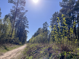 Similar image 22210949