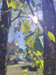 Similar image 22210950