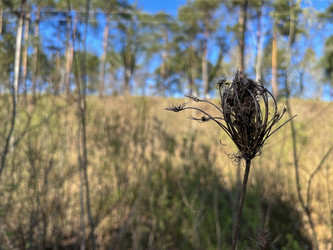 Similar image 22210951