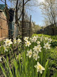 Similar image 22210952