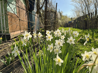 Similar image 22210953