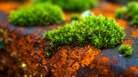 Similar image 22219597