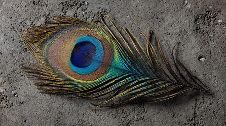 Similar image 22219614