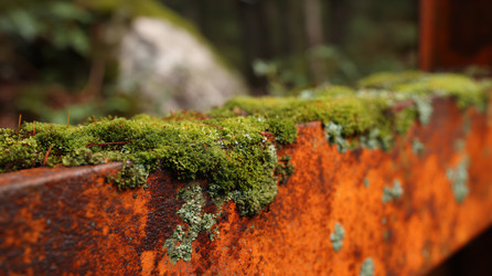 Similar image 22221501