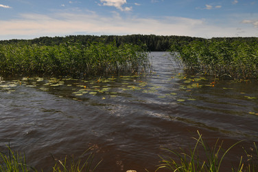 Similar image 22210963