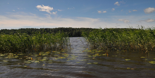 Similar image 22210964