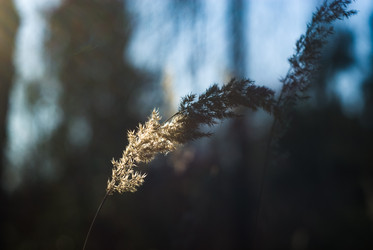 Similar image 22211069