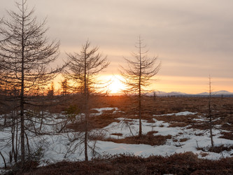 Similar image 22211071