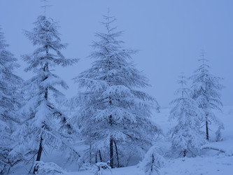 Similar image 22211075