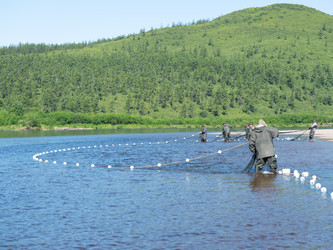 Similar image 22211077