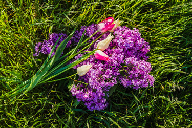 Similar image 22210865