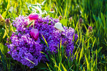 Similar image 22210866