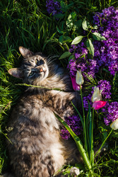 Similar image 22210867