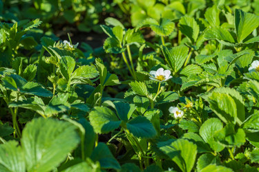 Similar image 22210868