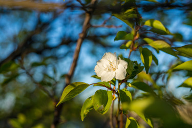 Similar image 22210869