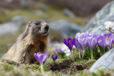 Similar image 22210971